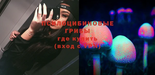 соль курить ск Белокуриха