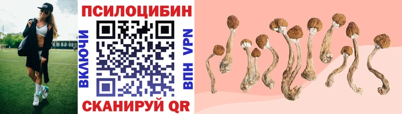 Псилоцибиновые грибы мицелий  Гороховец 